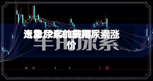 汽车尿素的费用走势/2021车用尿素涨价