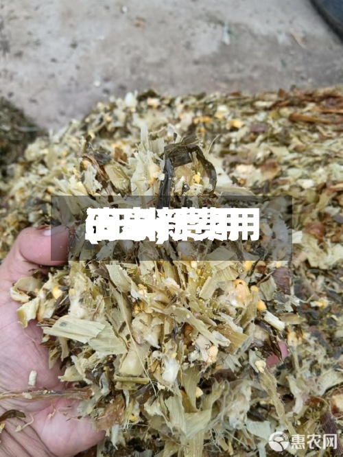 玉米新费用
(玉米费用
消息)-第3张图片