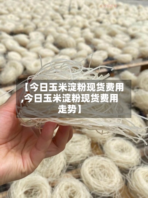 【今日玉米淀粉现货费用,今日玉米淀粉现货费用走势】-第3张图片