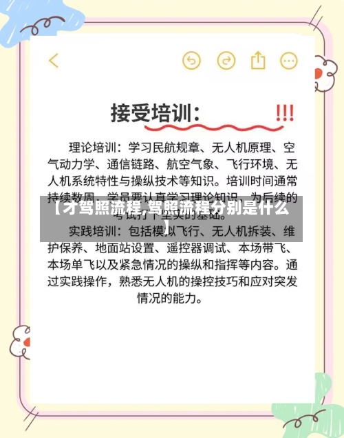 【才驾照流程,驾照流程分别是什么】