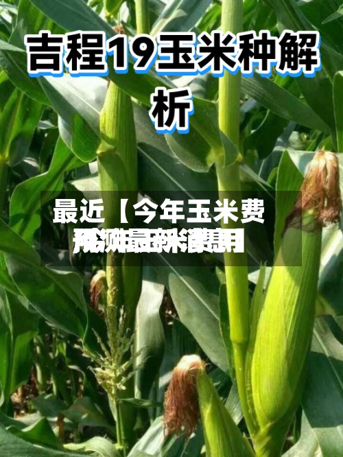 最近【今年玉米费用,今年玉米费用预测最新消息】