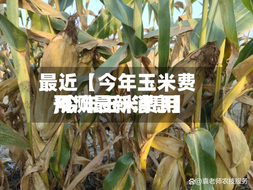 最近【今年玉米费用
,今年玉米费用
预测最新消息】-第2张图片