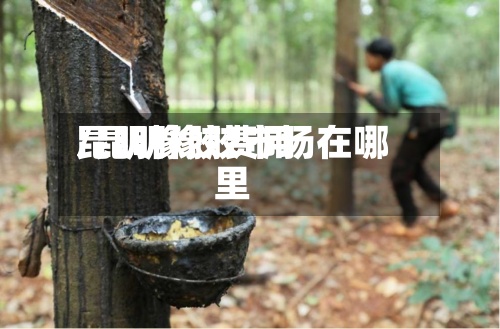 昆明橡胶费用/昆明橡胶市场在哪里