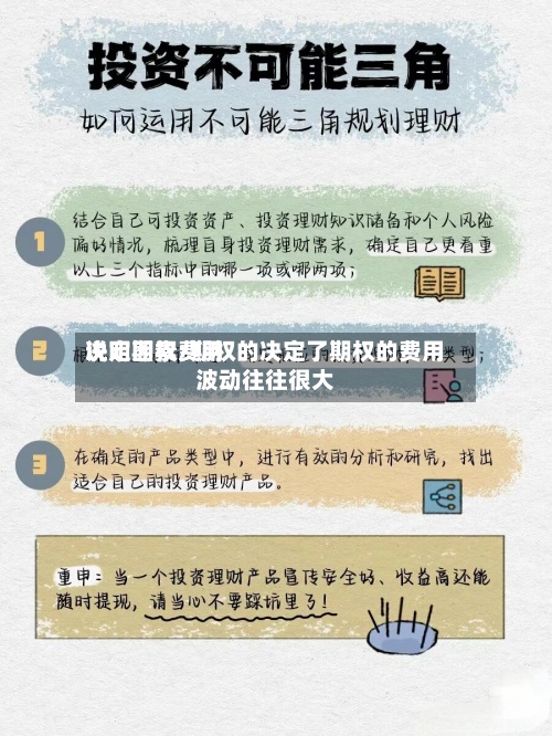 说明期权费用决定因素/期权的决定了期权的费用波动往往很大