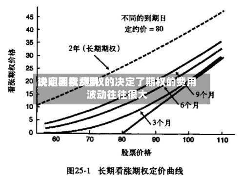 说明期权费用
决定因素/期权的决定了期权的费用
波动往往很大-第2张图片