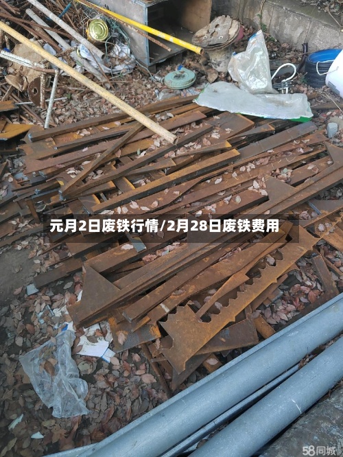 元月2日废铁行情/2月28日废铁费用-第2张图片