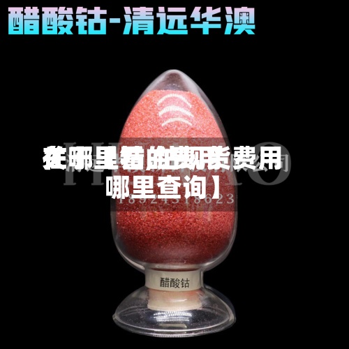 关于【钴的费用在哪里看,钴现货费用哪里查询】