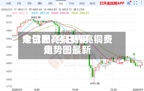 今日光亮铜费用走试图/今日光亮铜费用走势图最新