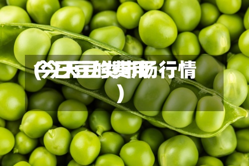 今日豆的费用(今天豆类市场行情)