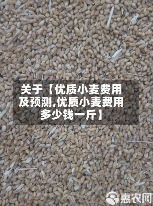 关于【优质小麦费用及预测,优质小麦费用多少钱一斤】