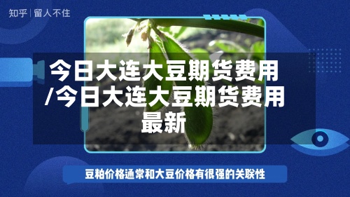 今日大连大豆期货费用/今日大连大豆期货费用最新