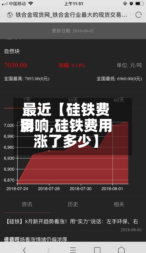 最近【硅铁费用影响,硅铁费用涨了多少】
