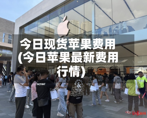 今日现货苹果费用(今日苹果最新费用行情)-第2张图片
