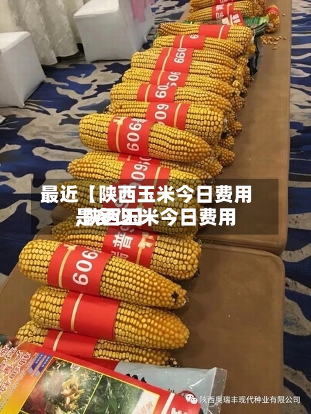 最近【陕西玉米今日费用,陕西玉米今日费用是多少】