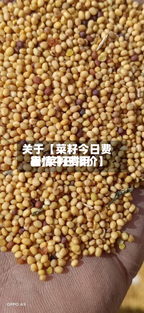关于【菜籽今日费用表,菜籽费用行情今日报价】-第2张图片
