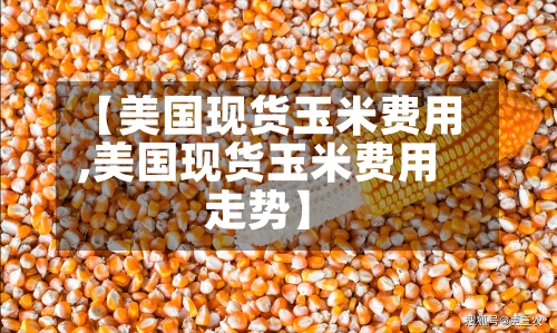 【美国现货玉米费用,美国现货玉米费用走势】-第2张图片