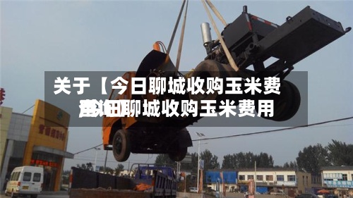 关于【今日聊城收购玉米费用,今日聊城收购玉米费用查询】-第2张图片