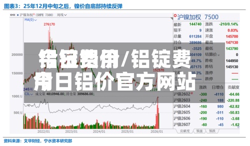 铝锭费用今日铝价/铝锭费用今日铝价官方网站-第2张图片