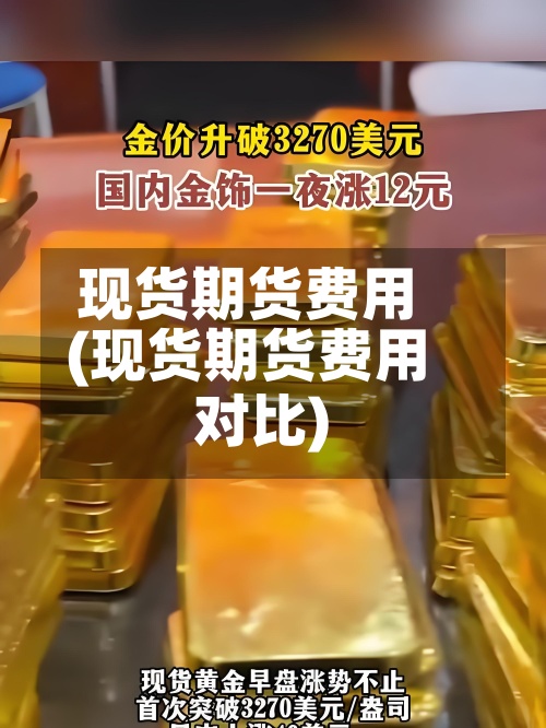 现货期货费用(现货期货费用对比)-第2张图片