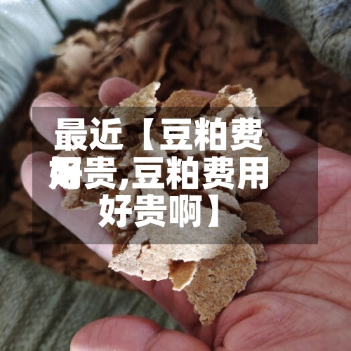 最近【豆粕费用好贵,豆粕费用好贵啊】