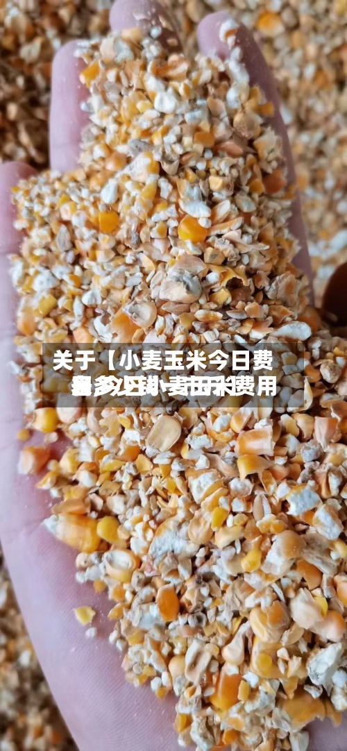 关于【小麦玉米今日费用
表,今日小麦玉米费用
各多少钱一市斤】-第2张图片