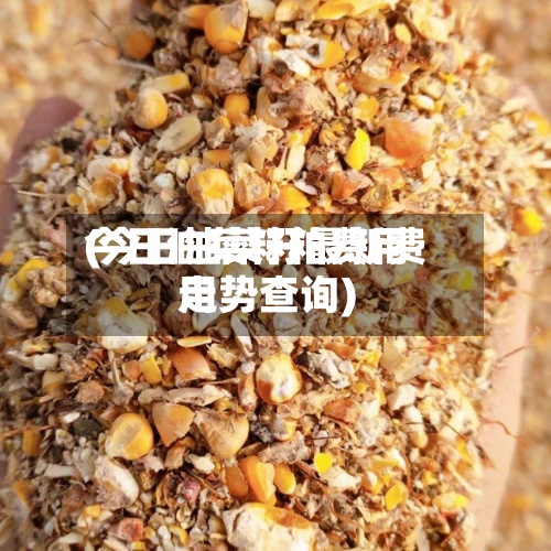 今日油菜籽粕费用(今日油菜籽最新费用走势查询)-第2张图片