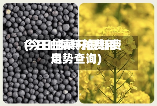 今日油菜籽粕费用(今日油菜籽最新费用走势查询)-第3张图片
