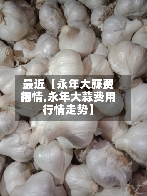 最近【永年大蒜费用行情,永年大蒜费用行情走势】-第2张图片