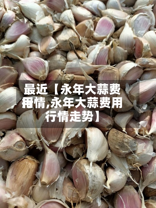 最近【永年大蒜费用行情,永年大蒜费用行情走势】-第3张图片