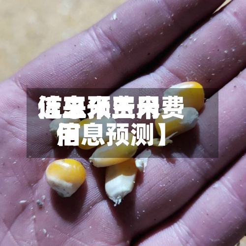 近来【玉米费用信息预玉米费用信息预测】