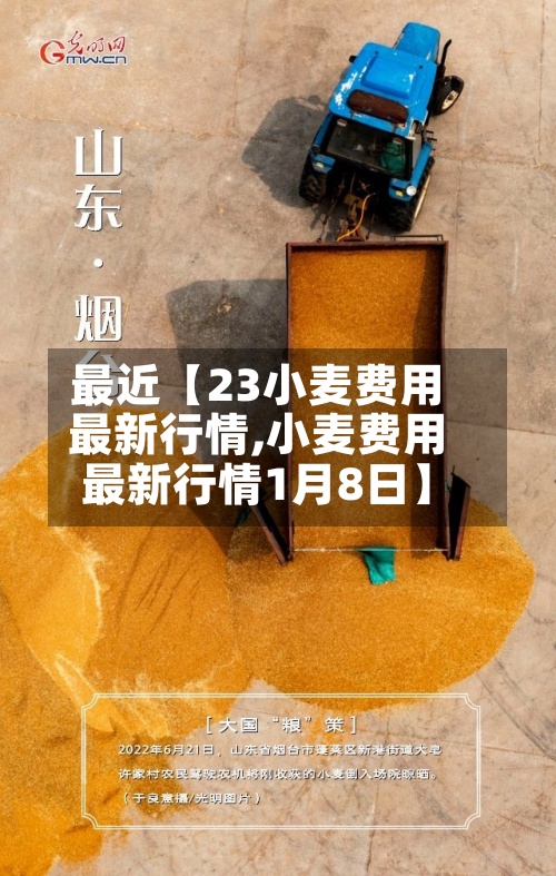 最近【23小麦费用
最新行情,小麦费用
最新行情1月8日】-第2张图片