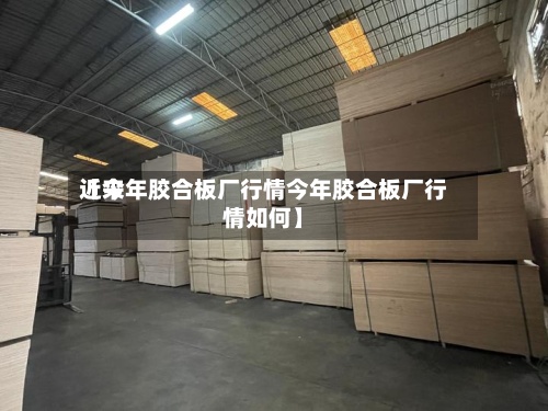近来【今年胶合板厂行情今年胶合板厂行情如何】-第2张图片