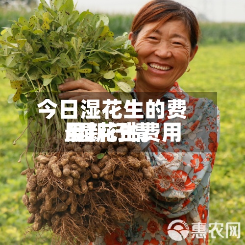 今日湿花生的费用/湿花生费用最新行情-第2张图片