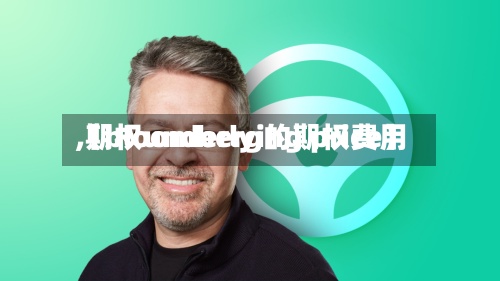 【bloomberg的期权费用
,期权underlying price】-第2张图片