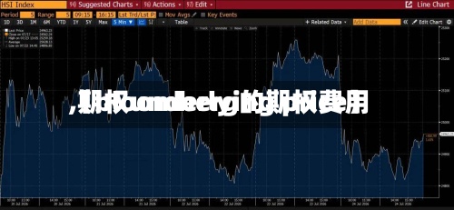 【bloomberg的期权费用
,期权underlying price】-第3张图片