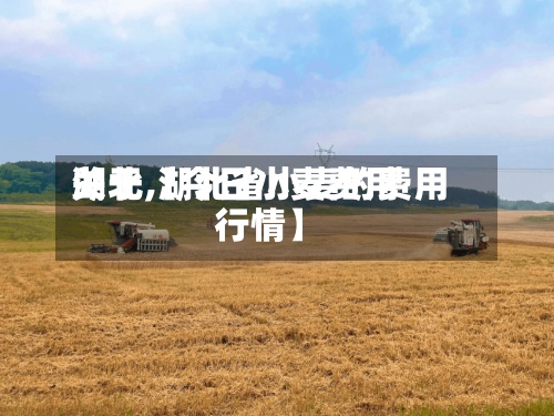 关于【今日小麦费用湖北,湖北省小麦的费用行情】-第2张图片