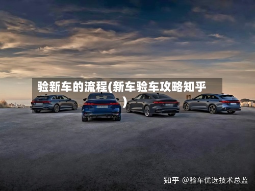 验新车的流程(新车验车攻略知乎)