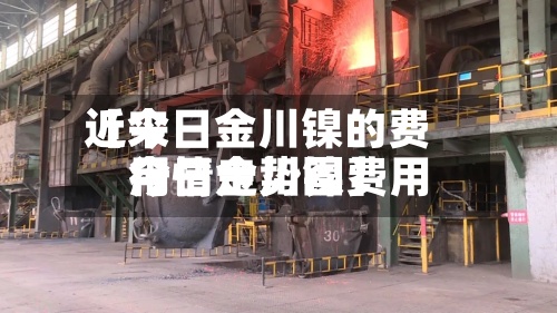 近来【今日金川镍的费用今日金川镍费用行情走势图】-第2张图片