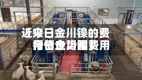 近来【今日金川镍的费用今日金川镍费用行情走势图】