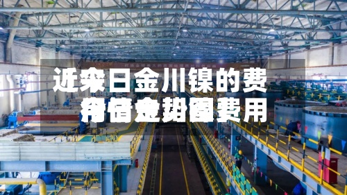 近来【今日金川镍的费用今日金川镍费用行情走势图】-第3张图片