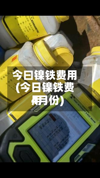 今曰镍铁费用(今日镍铁费用4月份)-第2张图片