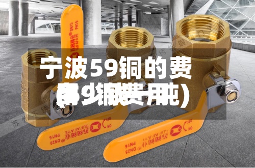宁波59铜的费用(59铜费用多少钱一吨)-第2张图片