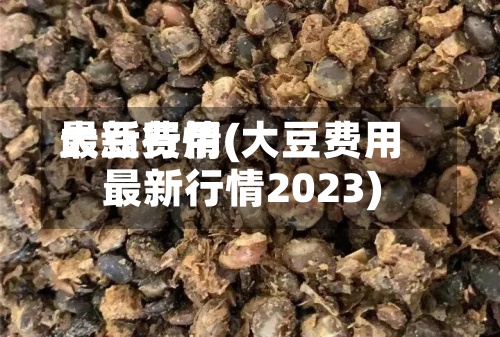 大豆费用最新行情(大豆费用最新行情2023)