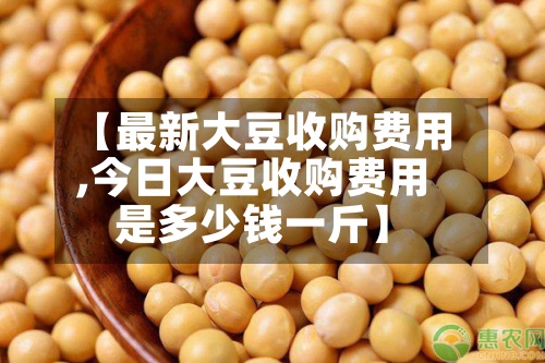 【最新大豆收购费用,今日大豆收购费用是多少钱一斤】