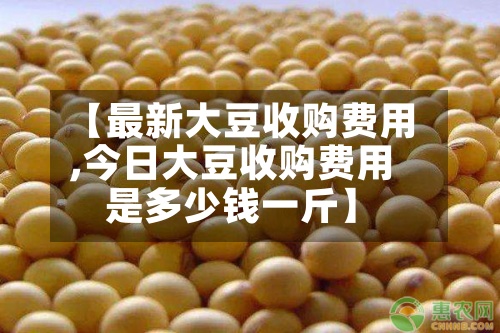 【最新大豆收购费用
,今日大豆收购费用
是多少钱一斤】-第2张图片