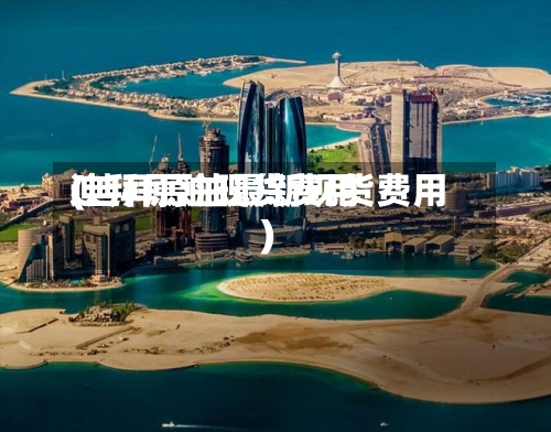 迪拜原油现货费用
(迪拜原油最新现货费用
)-第2张图片