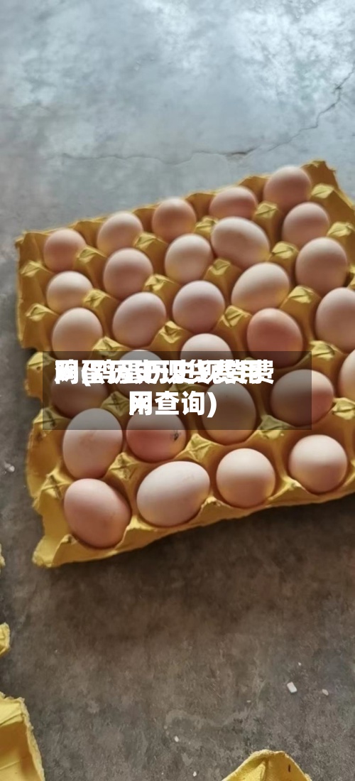 鸡蛋历史现货费用网(鸡蛋历史现货费用网查询)-第2张图片