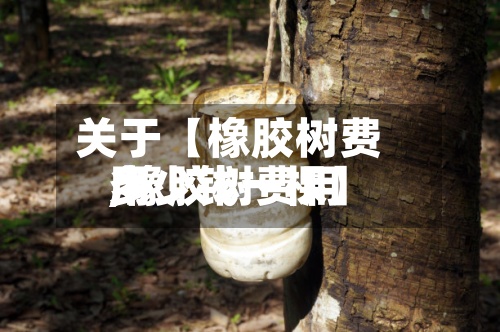 关于【橡胶树费用,橡胶树费用多少钱一棵】