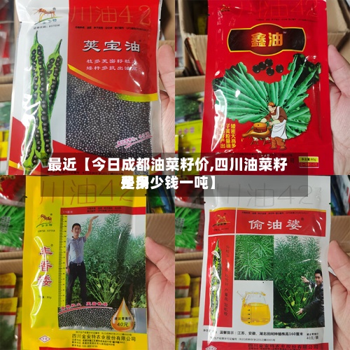 最近【今日成都油菜籽价,四川油菜籽费用是多少钱一吨】