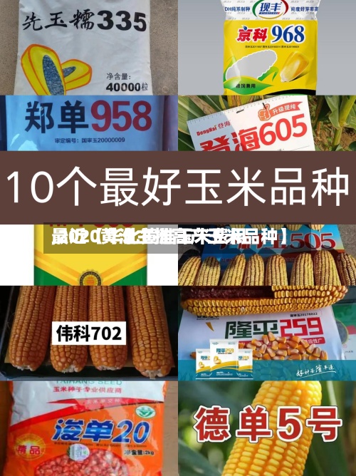 最近【华北黄淮玉米费用,2020黄淮主推高产玉米品种】-第2张图片